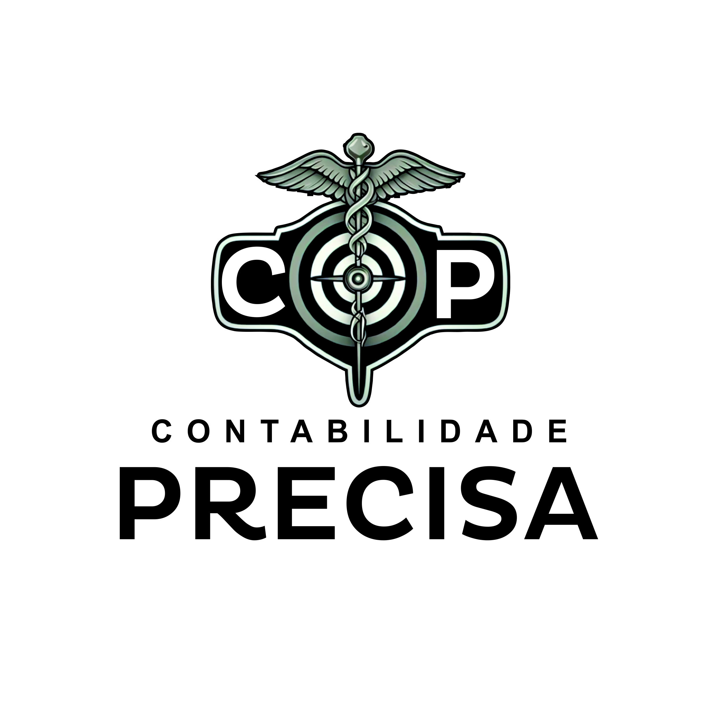 Contabilidade PRECISA